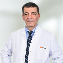 Проф. д-р Cezmi Akkın