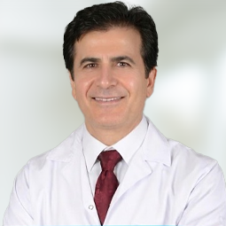 Prof. Mehmet Demir
